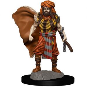 Dungeons & Dragons Miniatures Icons Of The Realms Premium Figures W4 Human Druid Male