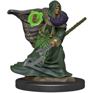 Dungeons & Dragons Miniatures Icons Of The Realms Premium Figures W5 Elf Druid Male