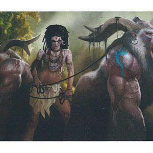 HCD Playmat Nature’s Fury