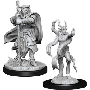 Dungeons & Dragons Nolzur’s Marvelous Miniatures W13 Hobgoblin Devastator & Hobgoblin Iron Shadow (Unpainted)