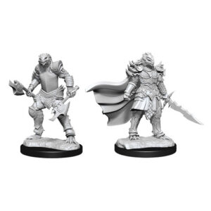 Dungeons & Dragons Nolzur’s Marvelous Miniatures W15 Dragonborn Fighter Female (Unpainted)