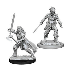 Dungeons & Dragons Nolzur’s Marvelous Miniatures W8 Vampire Hunters (Unpainted)