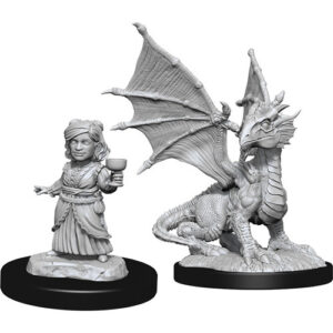 Dungeons & Dragons Nolzur’s Marvelous Miniatures W13 Silver Dragon Wyrmling & Halfling Dragon Friend (Unpainted)