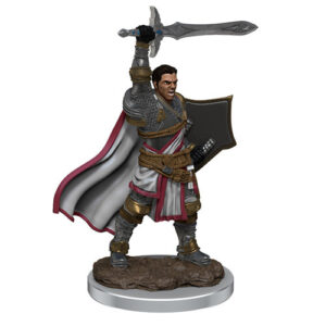Dungeons & Dragons Miniatures Icons Of The Realms Premium Figures W7 Human Paladin Male