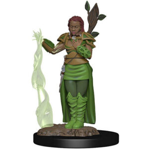 Dungeons & Dragons Miniatures Icons Of The Realms Premium Figures W2 Human Druid Female