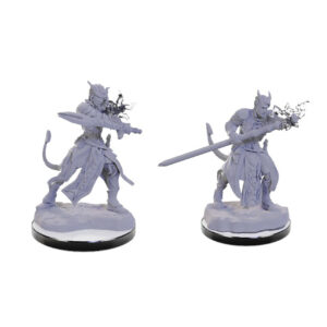 Dungeons & Dragons Nolzur’s Marvelous Miniatures W22 Tiefling Warlocks (Unpainted)