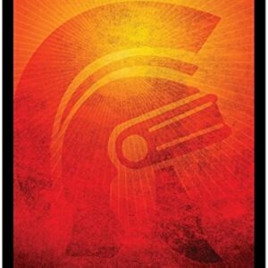 Legion Card Sleeves Double Matte Legion 2015 (50 Count)