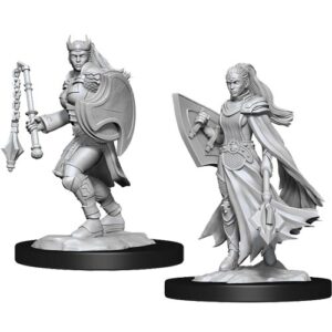 Dungeons & Dragons Nolzur’s Marvelous Miniatures W14 Kalashtar Cleric (Unpainted)